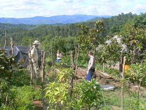 Permaculture in El Salvador